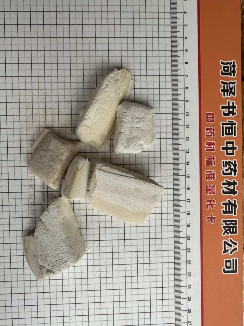 鄄城县海螵蛸 鱼骨