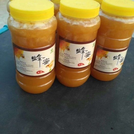 九江纯野生蜂蜜，野生大蚂蜂