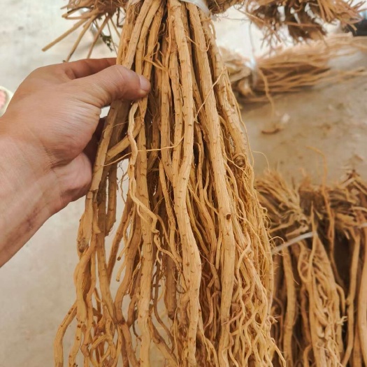 关防风