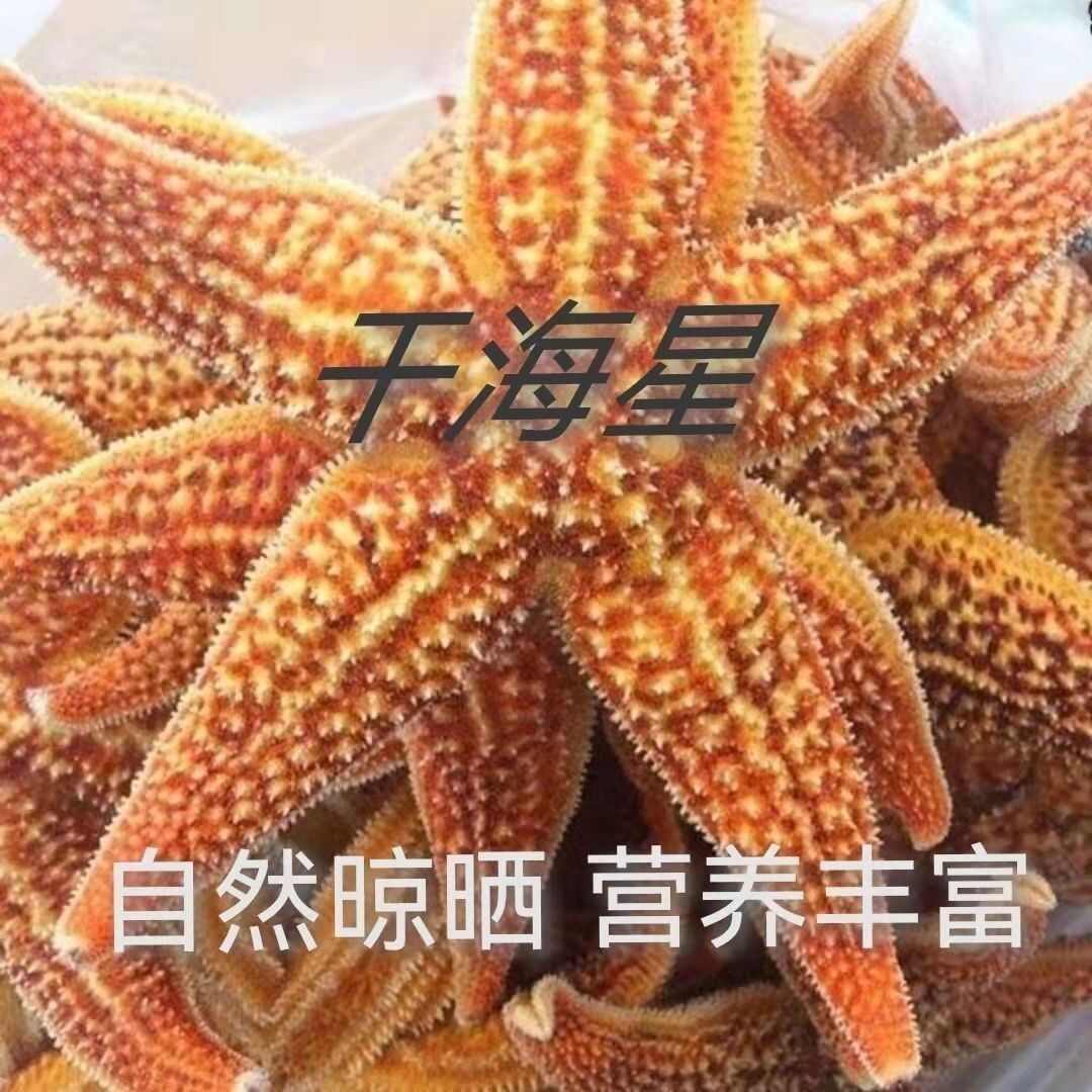 海星干货海五星纯然正品海星手选海星食用海星干货煲汤泡酒