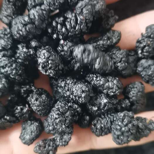 盐边县桑椹干