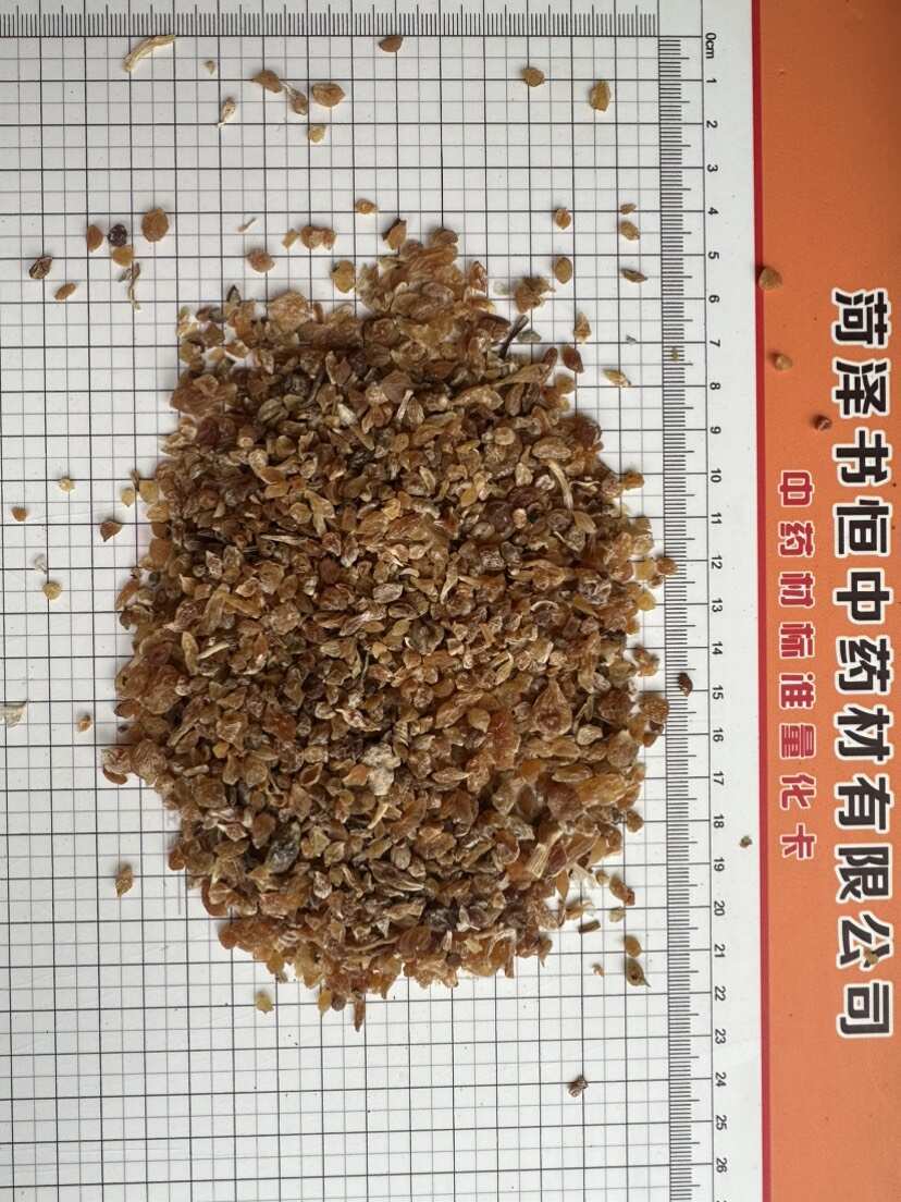 鄄城县薤白 无硫