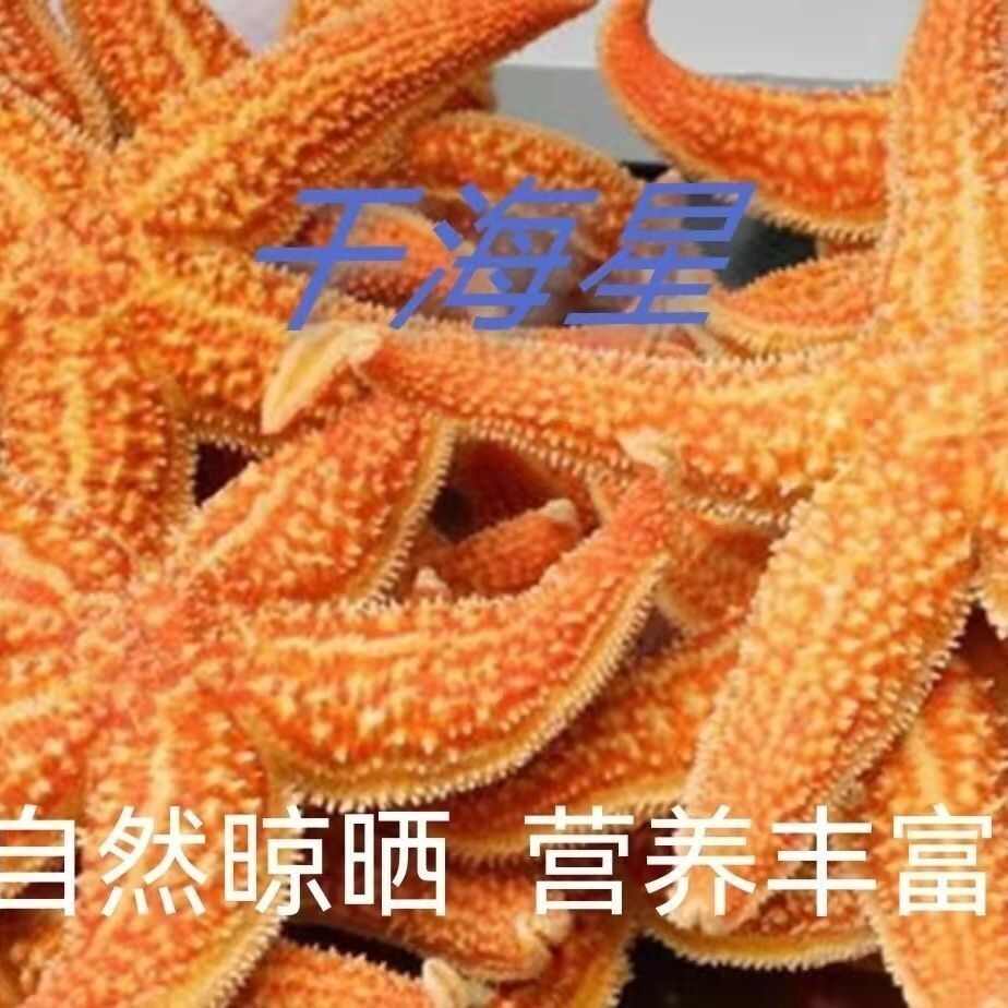 海星干货海五星纯然正品海星手选海星食用海星干货煲汤泡酒