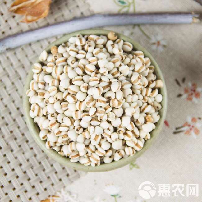 中药材 小薏米仁 精选薏苡仁 正品薏米粉 薏仁茶 500