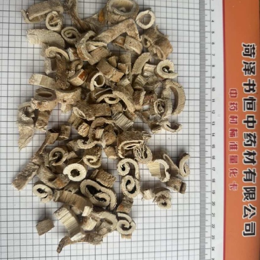 白桑皮 双皮 刮皮 选装