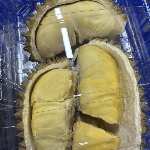 青岛金枕薄皮树熟液氮切片榴莲 每房都是精选精品 无需开