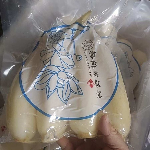 广州马踏湖水果脆藕