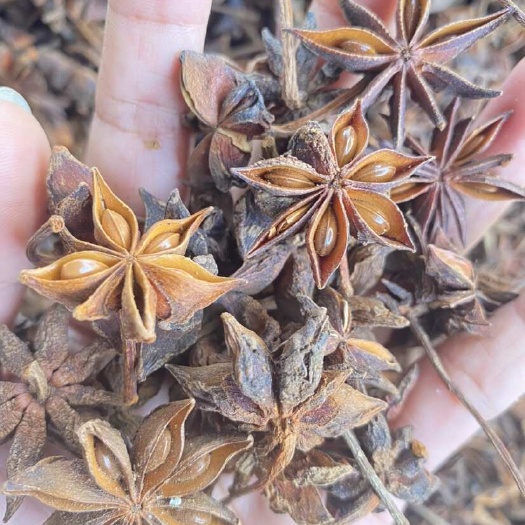 无硫八角，百家货春花