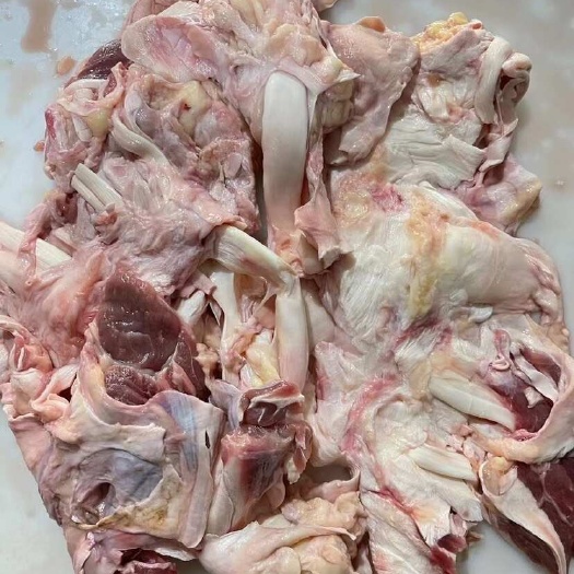 牛筋 精修大块牛棒骨筋 工厂直销 板冻/袋装 好原料做好产品