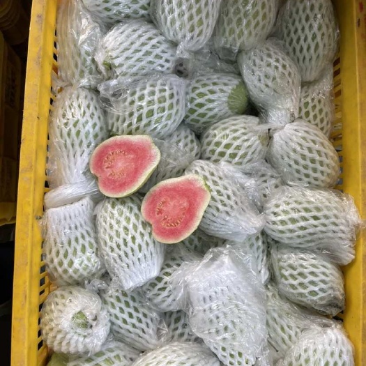 北流市红心番石榴