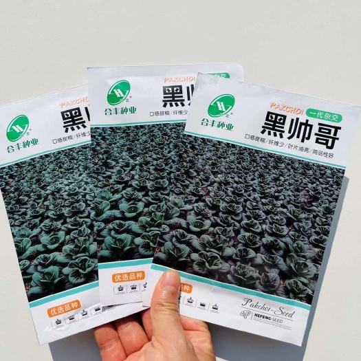 宿迁黑帅哥青梗菜种子