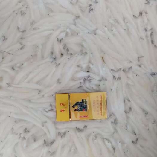 胶州市解冻效果，质量，条数。