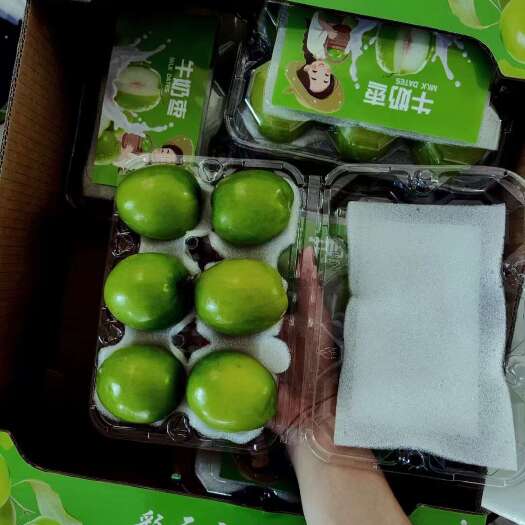 元谋县云南密枣