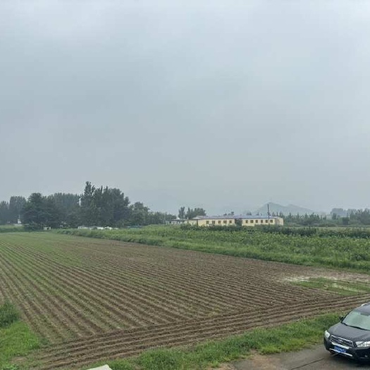 盖州市98.8亩土地出售，可以建大棚，水电路三通，可进大车