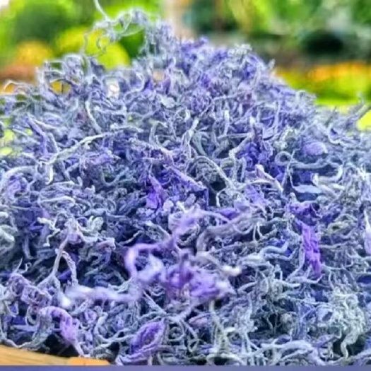 大湘西张家界永顺高山天然富硒红砂岩紫金莓茶紫芽茶