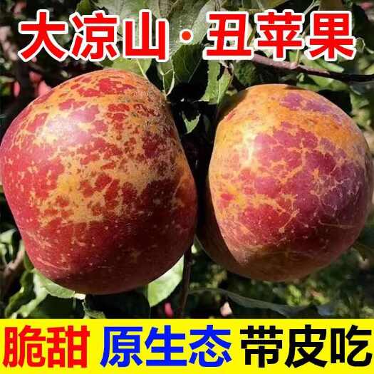 盐源县红富士大凉山冰糖心丑苹果现摘现发当季新鲜水果脆甜孕妇小孩
