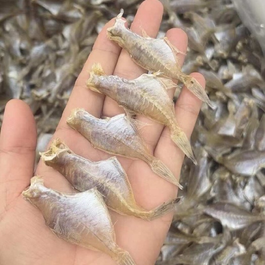 佛山剥皮鱼干 地摊 电商 批发 羊仔 迪仔 剥皮鱼干 干鱼