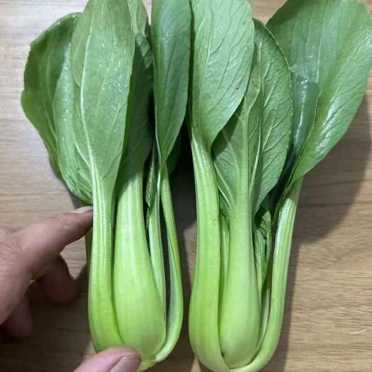 三台县上海清