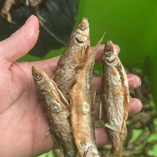 佛山鱼干 即食鱼干 地摊 电商 批发 香酥小河鱼干 五香味鱼干