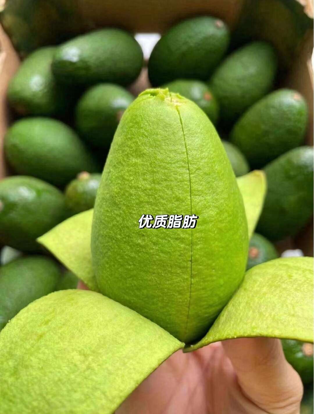 一件代发云南孟连哈斯牛油果新鲜采摘口感顺滑柔软单果160g起