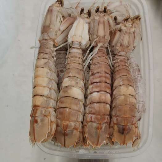 钦州皮皮虾