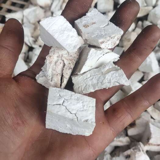楚雄市云南茯苓丁茯苓干货量小30斤可发物流