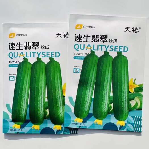 丝瓜种子油绿香丝瓜种子