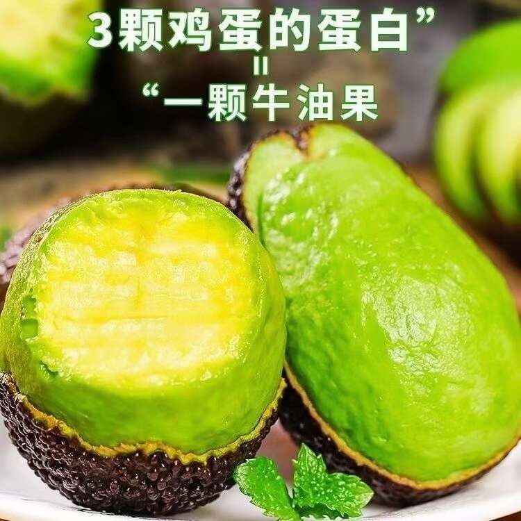 一件代发云南孟连哈斯牛油果新鲜采摘口感顺滑柔软单果190g起