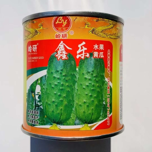 鑫乐水果黄瓜种子 鲜奶香水果黄瓜种子