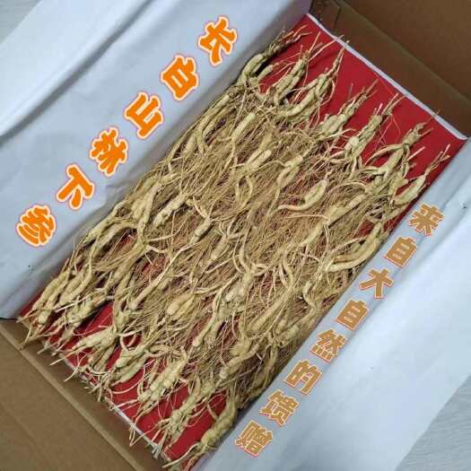 抚松县长白山林下参 生晒林下参自然晒干 天然草本中药材滋补佳品