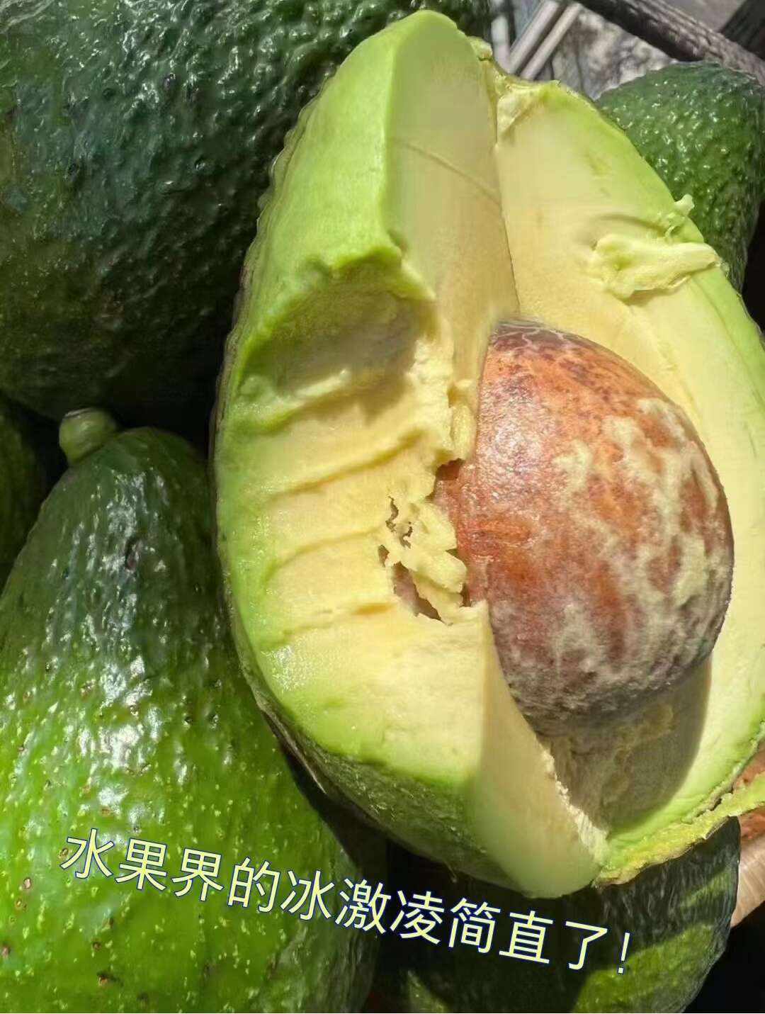一件代发云南孟连哈斯牛油果新鲜采摘口感顺滑柔软单果160g起