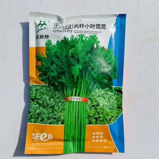 光杆茼蒿种子