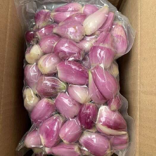 翁源县韶关翁源新鲜小葱火葱基地直发精品蔬菜纯手工去皮剥皮炸葱油专用
