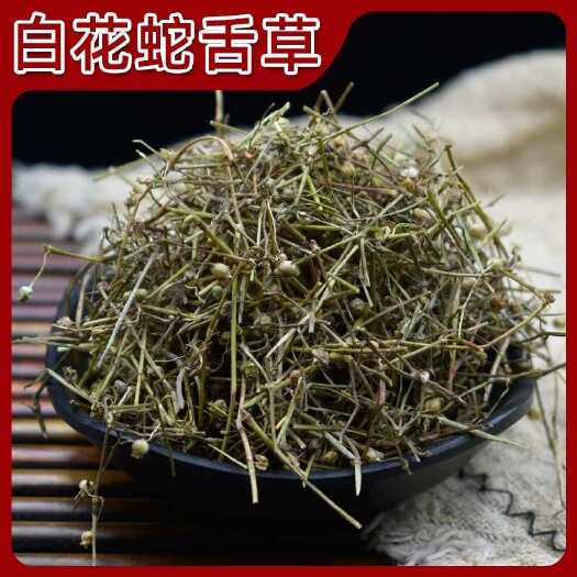 鄄城县白花蛇舌草 中药材 舌草  白花蛇舌草 大货批发 初级农产品