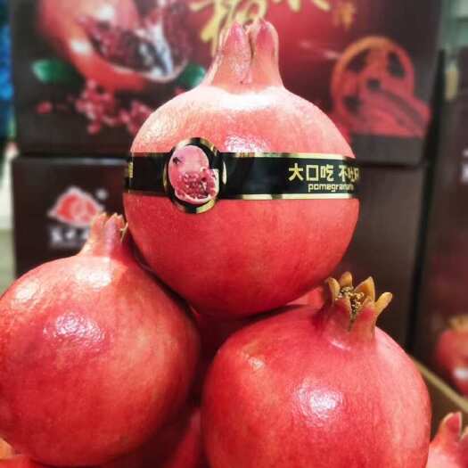 彝良县软籽石榴