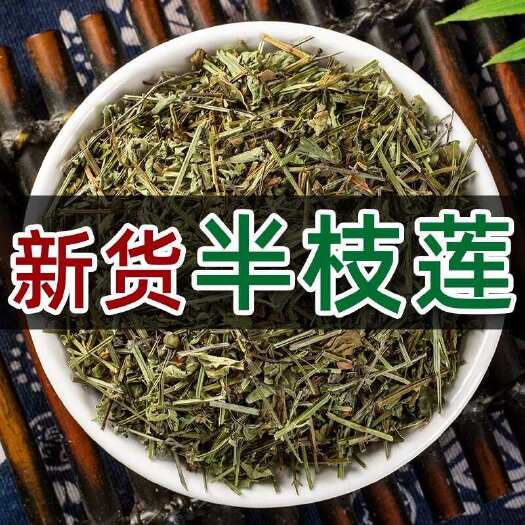鄄城县批发中药材半枝莲 中草药批发半枝莲 量大从优承接大货半枝莲