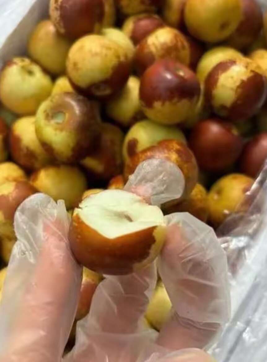 阿克苏冬枣新鲜脆甜直供批发零售均适宜食品经营许可正品保障 阿克苏冬枣新鲜脆甜直供批发零售均适宜食品经营许可正品保障