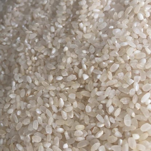 唐山三等品粳酒米批发供应