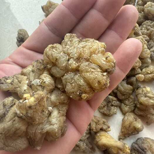 郓城县菊芋干 洋姜干 去皮洋姜 熟洋姜 透明洋姜