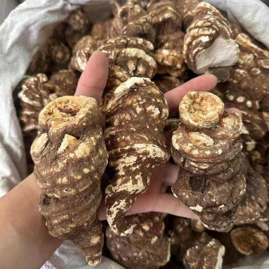 昆明矮杆滇重楼中药材根茎类云南临沧产优质正品包邮