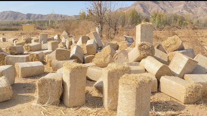 忻州无土无膜玉米秸秆小方包（即将开售）
