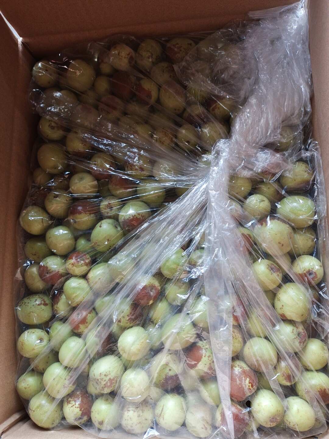 阿克苏冬枣新鲜脆甜直供批发零售均适宜食品经营许可正品保障 阿克苏冬枣新鲜脆甜直供批发零售均适宜食品经营许可正品保障