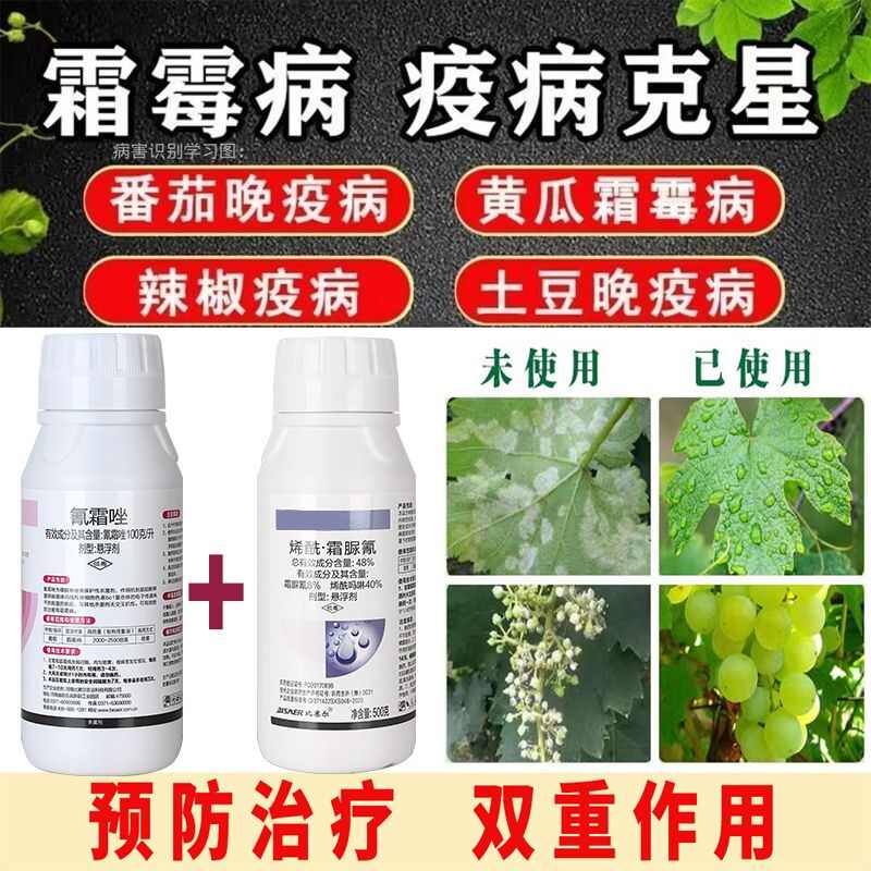 霜霉病专用杀菌剂烯酰吗啉霜脲氰+氰霜唑套装防治霜霉病霜疫病