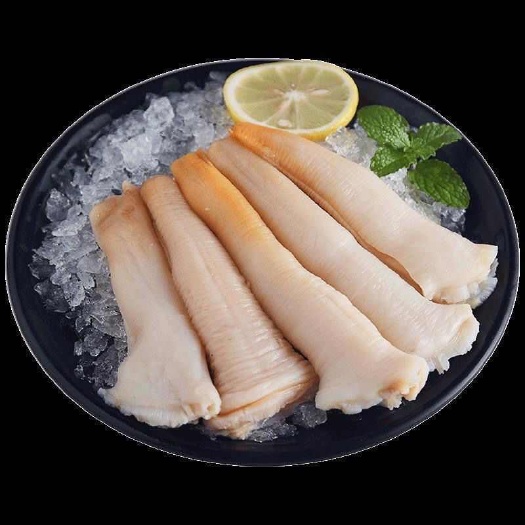 上海象拔蚌肉蚌头象鼻蚌纯肉速冻新鲜刺身日料贝类海鲜水