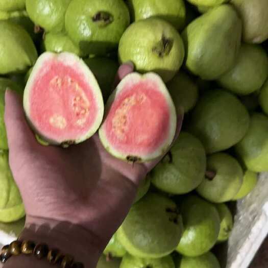 漳浦县芭乐