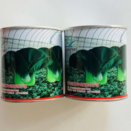 宿迁黑尊青梗菜种子  墨莉杂交青菜种子