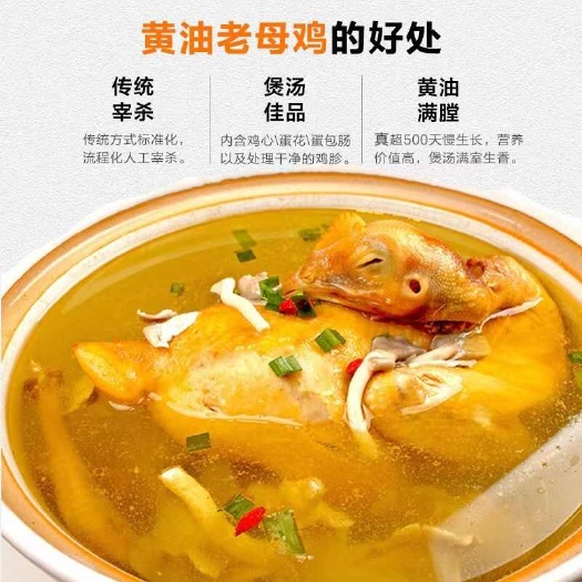 莘县顺丰包邮老母鸡土鸡，现杀现发，送配料包