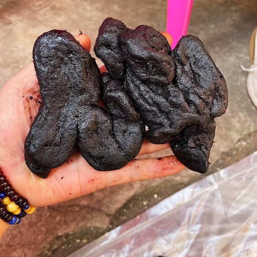 玉林￼ 九蒸九晒黄精软黄精中大个九制黄精泡酒煲汤  产地直销