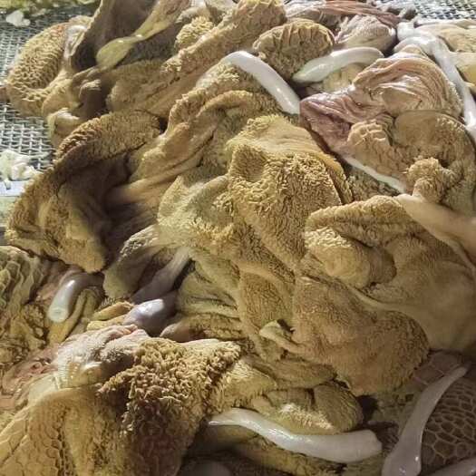 郑州纯干免洗黄毛肚