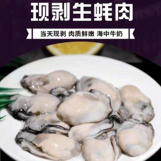 连云港连云港赣榆区新鲜海产直供肥美蚝肉速冻批发零售